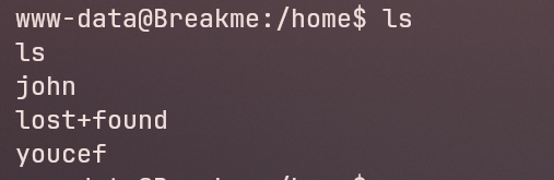 Local Home Users