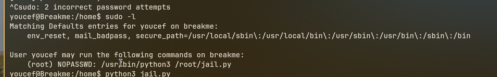 Sudo Privileges Output