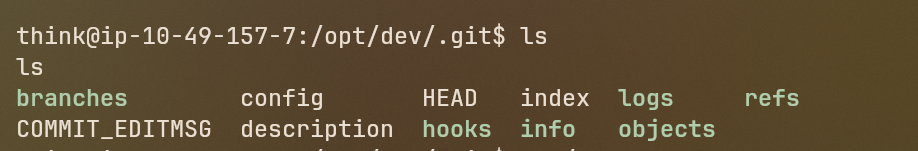 Opt Dev Directory